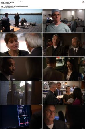 NCIS S07 1080p AMZN WEB-DL x265 HEVC DDP 5 1-PHOCiS
