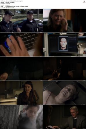 NCIS S09 1080p AMZN WEB-DL x265 HEVC DDP 5 1-PHOCiS
