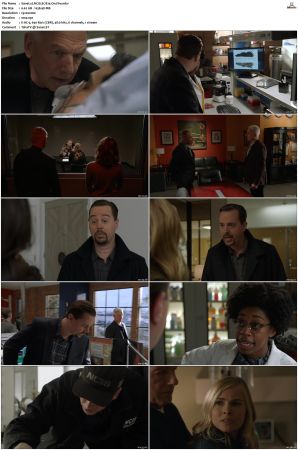 NCIS S17 1080p AMZN WEB-DL x265 HEVC DDP 5 1-PHOCiS