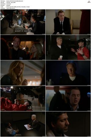 NCIS S11 1080p AMZN WEB-DL x265 HEVC DDP 5 1-PHOCiS