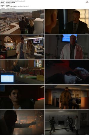 NCIS S15 1080p AMZN WEB-DL x265 HEVC DDP 5 1-PHOCiS