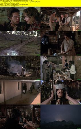 Ned Kelly 1970 1080p BluRay x264 AAC-YTS