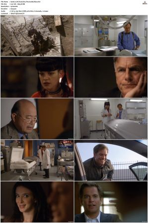 NCIS S07 1080p AMZN WEB-DL x265 HEVC DDP 5 1-PHOCiS