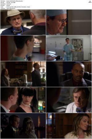 NCIS S07 1080p AMZN WEB-DL x265 HEVC DDP 5 1-PHOCiS