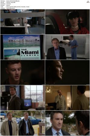NCIS S11 1080p AMZN WEB-DL x265 HEVC DDP 5 1-PHOCiS