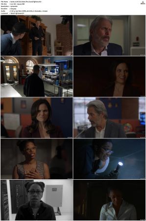 NCIS S20 1080p AMZN WEB-DL x265 HEVC DDP 5 1-PHOCiS