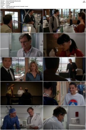 NCIS S10 1080p AMZN WEB-DL x265 HEVC DDP 5 1-PHOCiS