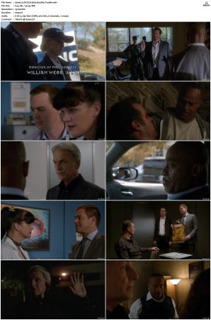 NCIS S13 1080p AMZN WEB-DL x265 HEVC DDP 5 1-PHOCiS