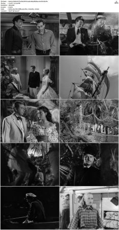 Wake Of The Red Witch 1948 1080p BluRay x264-SUP3R
