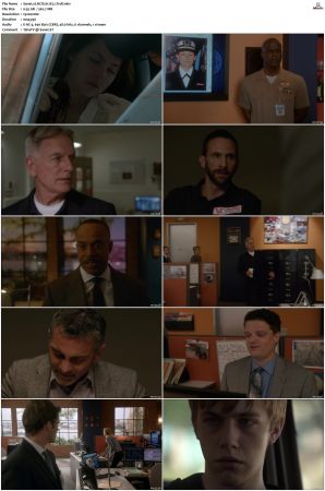 NCIS S12 1080p AMZN WEB-DL x265 HEVC DDP 5 1-PHOCiS