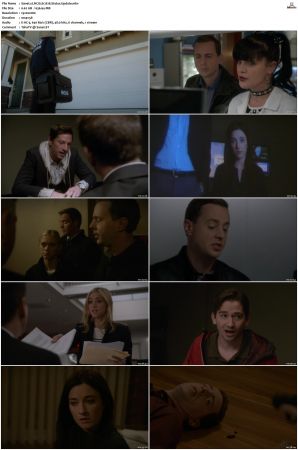 NCIS S12 1080p AMZN WEB-DL x265 HEVC DDP 5 1-PHOCiS