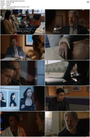 NCIS S19 1080p AMZN WEB-DL x265 HEVC DDP 5 1-PHOCiS