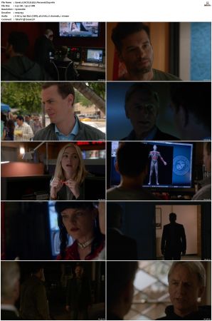 NCIS S13 1080p AMZN WEB-DL x265 HEVC DDP 5 1-PHOCiS