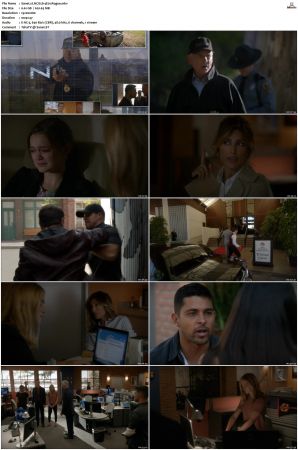 NCIS S14 1080p AMZN WEB-DL x265 HEVC DDP 5 1-PHOCiS