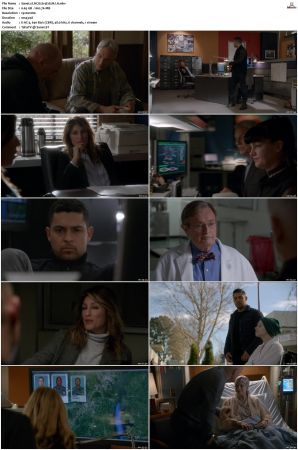 NCIS S14 1080p AMZN WEB-DL x265 HEVC DDP 5 1-PHOCiS