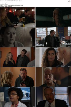 NCIS S17 1080p AMZN WEB-DL x265 HEVC DDP 5 1-PHOCiS