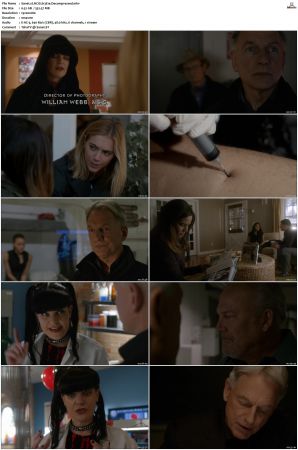 NCIS S13 1080p AMZN WEB-DL x265 HEVC DDP 5 1-PHOCiS