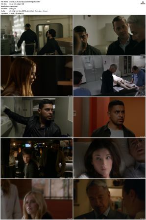 NCIS S14 1080p AMZN WEB-DL x265 HEVC DDP 5 1-PHOCiS
