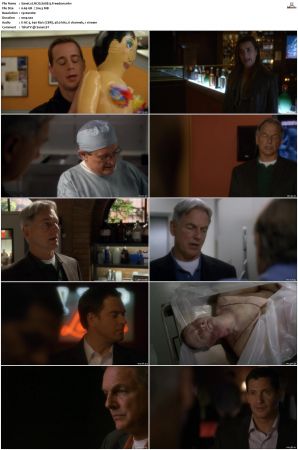NCIS S08 1080p AMZN WEB-DL x265 HEVC DDP 5 1-PHOCiS