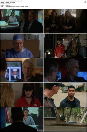NCIS S14 1080p AMZN WEB-DL x265 HEVC DDP 5 1-PHOCiS