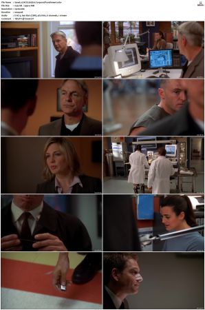 NCIS S05 1080p AMZN WEB-DL x265 HEVC DDP 5 1-PHOCiS