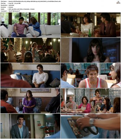Dil Dhadakne Do 2015 1080p 10bit Bluray x265 Hindi AAC 5.1 Esub-BlacK PearL