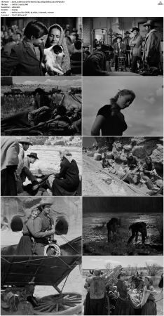 Westward The Women 1951 1080p BluRay x264-SUP3R