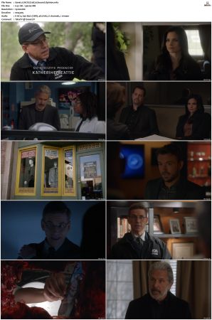 NCIS S20 1080p AMZN WEB-DL x265 HEVC DDP 5 1-PHOCiS
