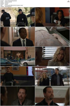 NCIS S17 1080p AMZN WEB-DL x265 HEVC DDP 5 1-PHOCiS