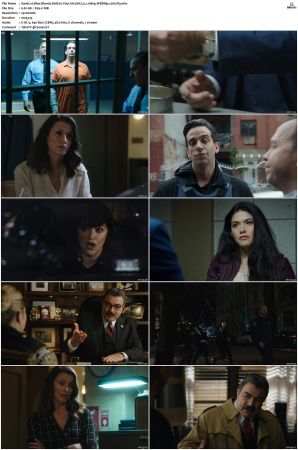 Blue Bloods S08 WEBRip EAC3 5 1 1080p x265-iVy
