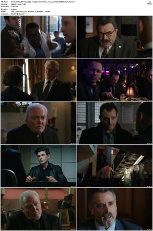 Blue Bloods S07 WEBRip EAC3 5 1 1080p x265-iVy