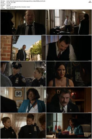 Blue Bloods S05 WEBRip EAC3 5 1 1080p x265-iVy