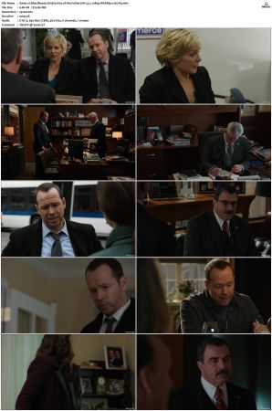 Blue Bloods S05 WEBRip EAC3 5 1 1080p x265-iVy
