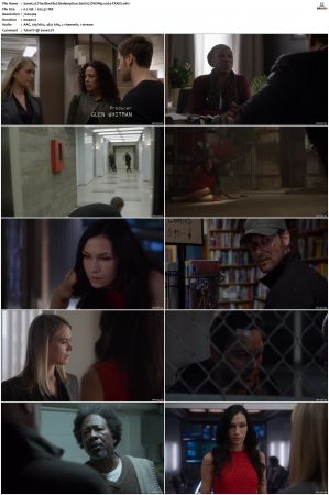 The Blacklist S01-S10 + Redemption DVDRip BDRip x264-Scene