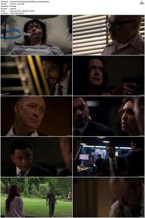 The Blacklist S01-S10 + Redemption DVDRip BDRip x264-Scene