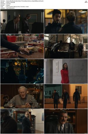 Blue Bloods S13 WEBRip EAC3 5 1 1080p x265-iVy