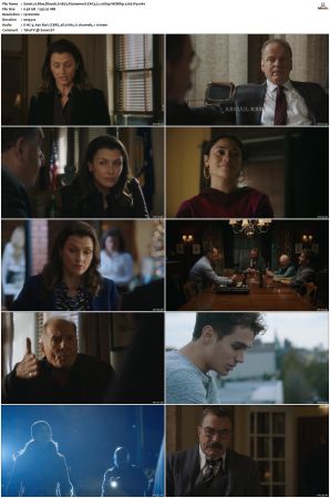 Blue Bloods S11 WEBRip EAC3 5 1 1080p x265-iVy