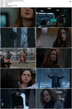 The Blacklist S01-S10 + Redemption DVDRip BDRip x264-Scene