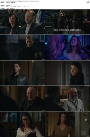 Blue Bloods S12 WEBRip EAC3 5 1 1080p x265-iVy