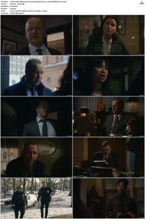 Blue Bloods S11 WEBRip EAC3 5 1 1080p x265-iVy