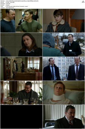 Blue Bloods S03 WEBRip EAC3 5 1 1080p x265-iVy
