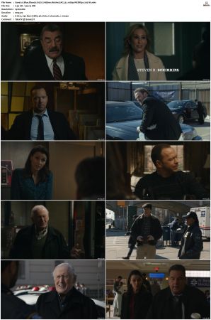Blue Bloods S12 WEBRip EAC3 5 1 1080p x265-iVy