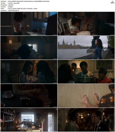 Black Cake S01 WEBRip EAC3 5 1 1080p x265-iVy