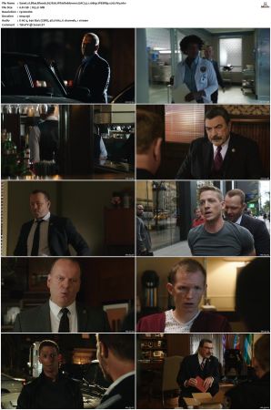 Blue Bloods S07 WEBRip EAC3 5 1 1080p x265-iVy