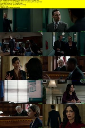 Law And Order S23E09 1080p WEB h264-ELEANOR