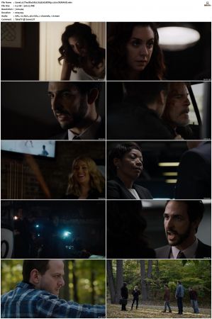The Blacklist S01-S10 + Redemption DVDRip BDRip x264-Scene