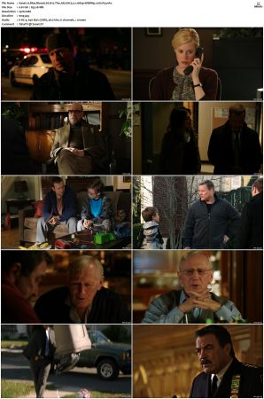 Blue Bloods S02 WEBRip EAC3 5 1 1080p x265-iVy