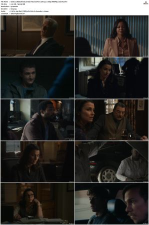 Blue Bloods S11 WEBRip EAC3 5 1 1080p x265-iVy