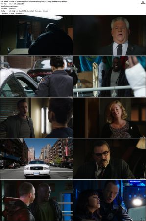 Blue Bloods S07 WEBRip EAC3 5 1 1080p x265-iVy