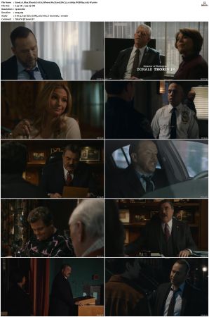 Blue Bloods S12 WEBRip EAC3 5 1 1080p x265-iVy